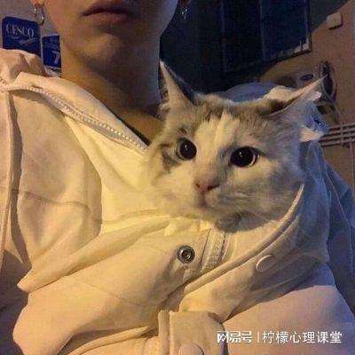 王者之心2游戏下载